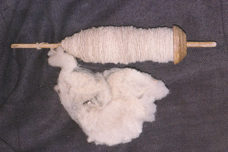 Drop spindle wound with fine alpaca yarn beside unspun fibre